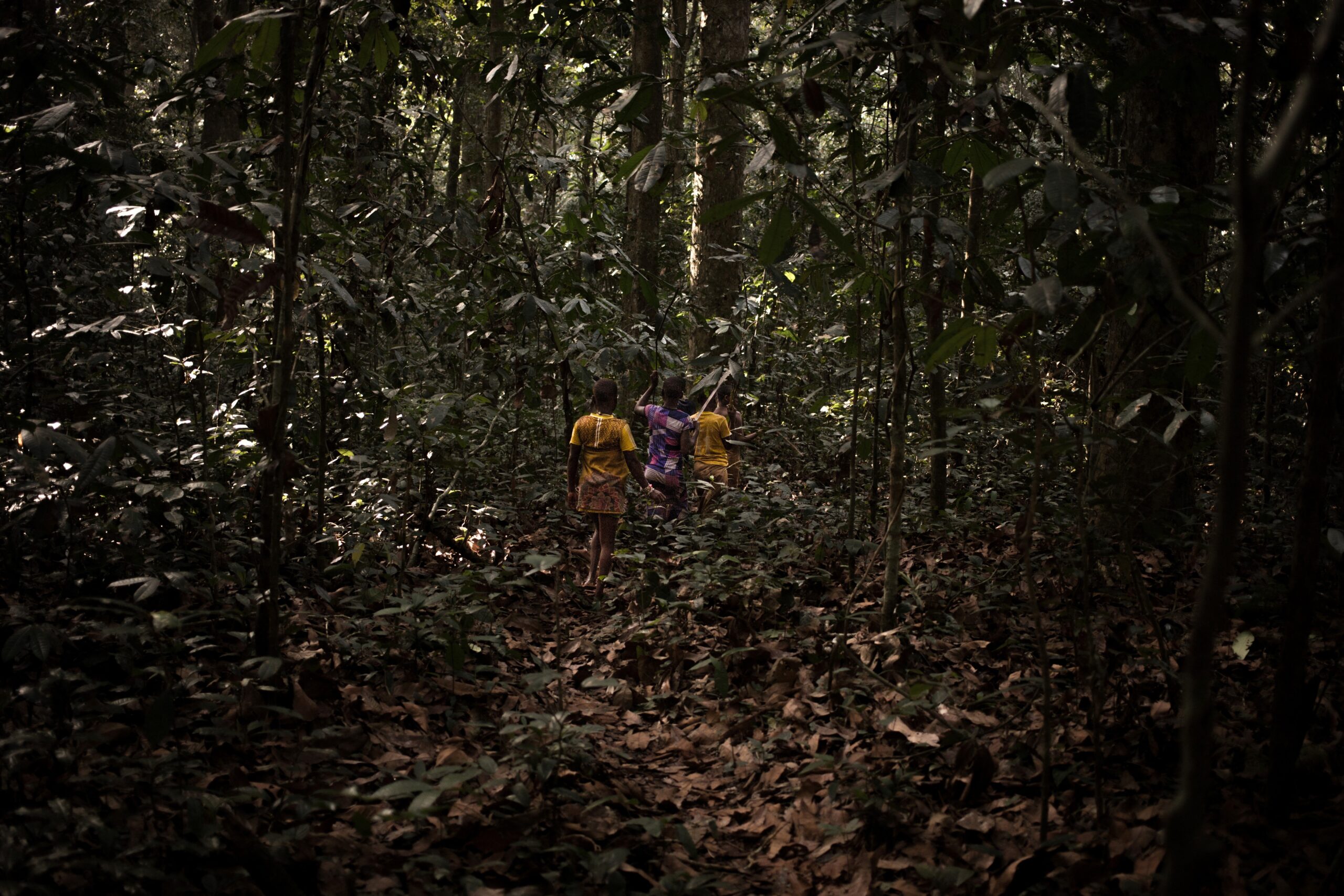 The case for an African-centric sustainability index