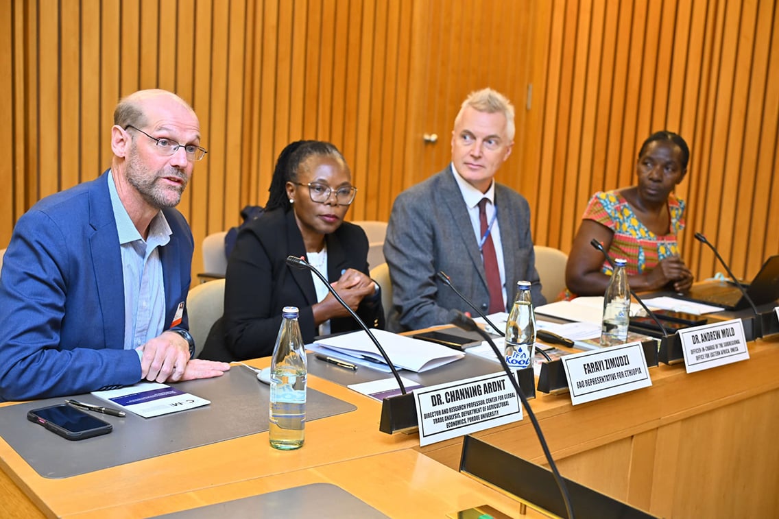 AfCFTA offers pathway to greater food security 
