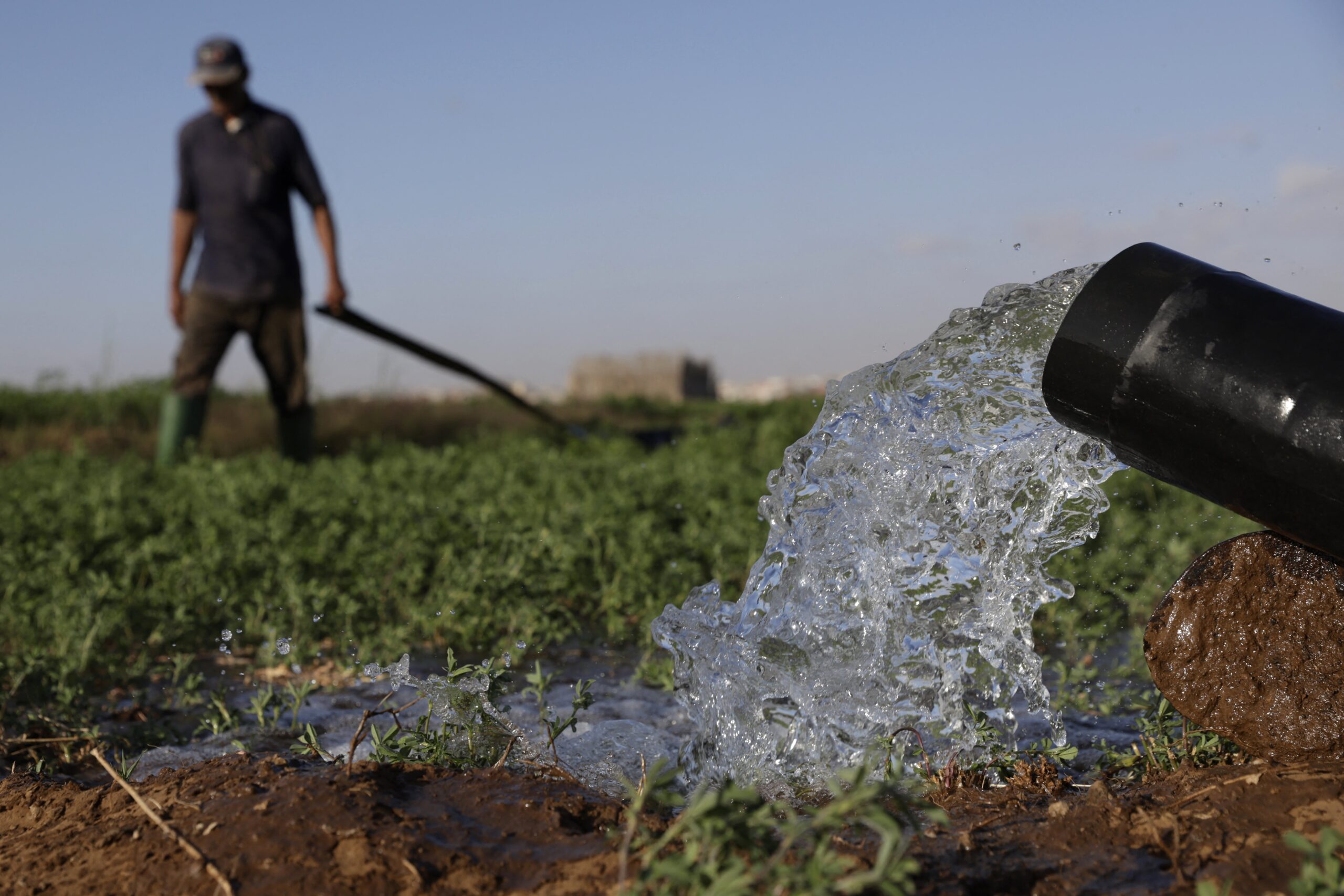 Ensuring water supply for a drought-prone citrus producer