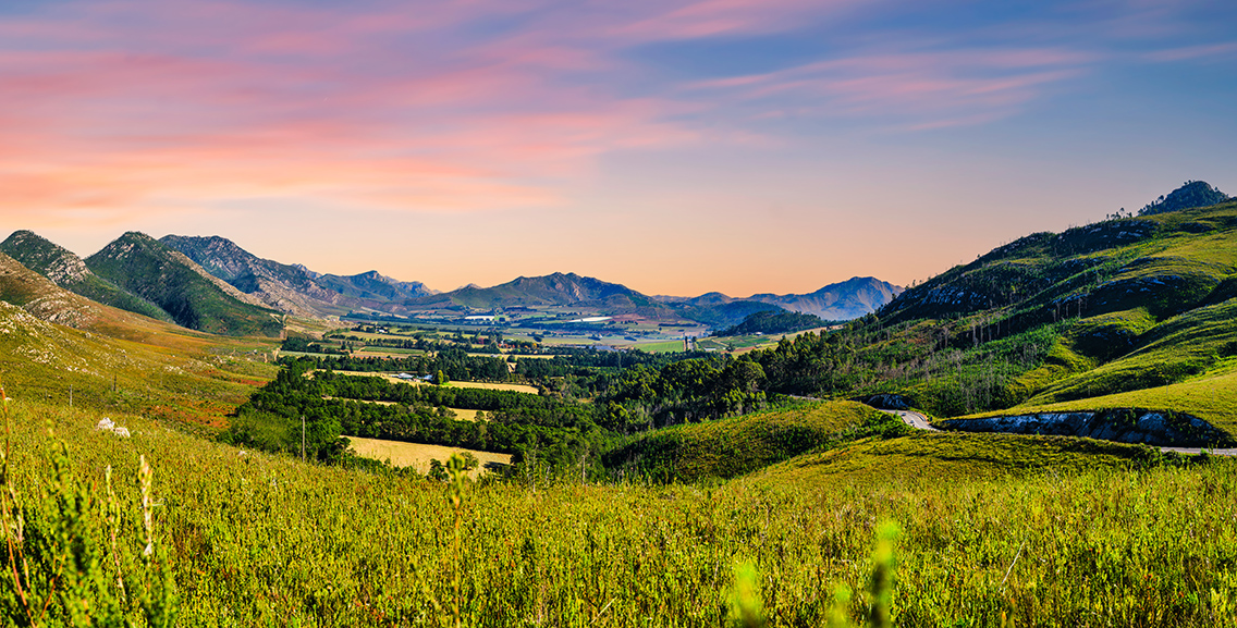 Connecting Africa’s Visionaries: Vuka Group’s Commitment to Transformative Green Projects