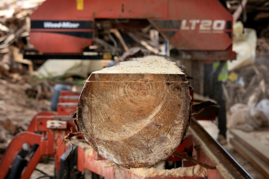New investor puts down roots in South Africa’s forestry industry