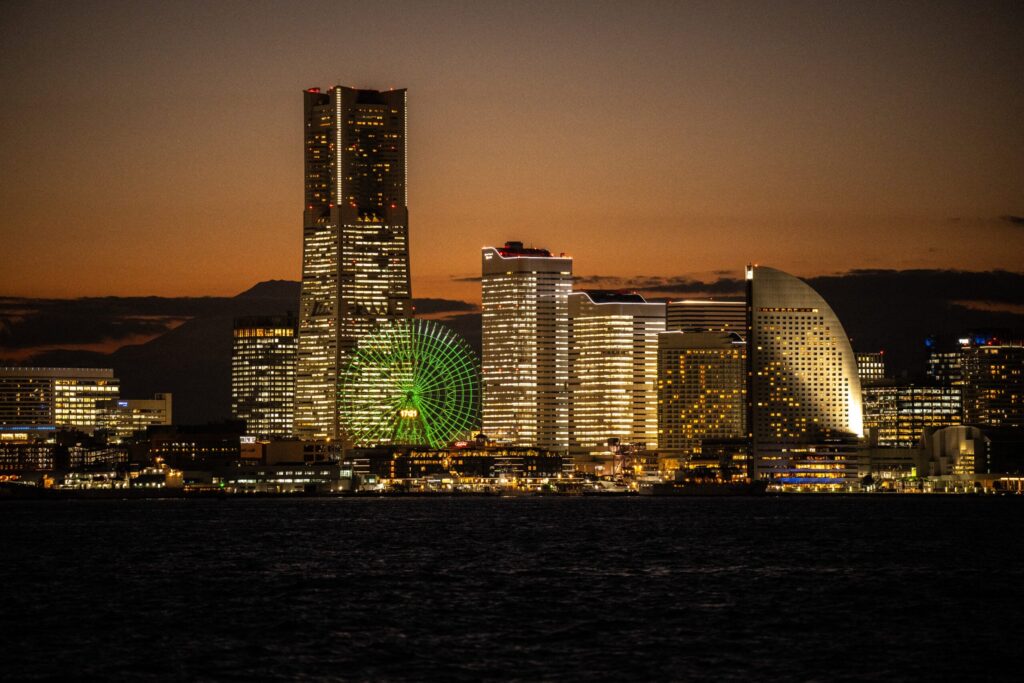 Japan and Africa look to strengthen ties at Yokohama’s TICAD