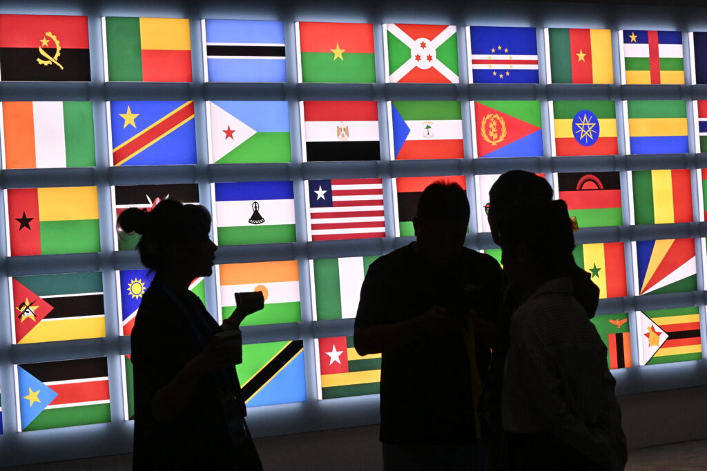 US’s African diaspora urged to step up as Trump shuns continent