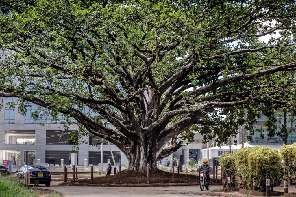 Would-be philanthropists are steered to pursue profits