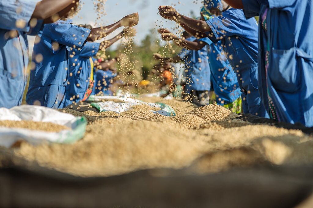 Crafting our food future: A partnership for Nigerian food sovereignty