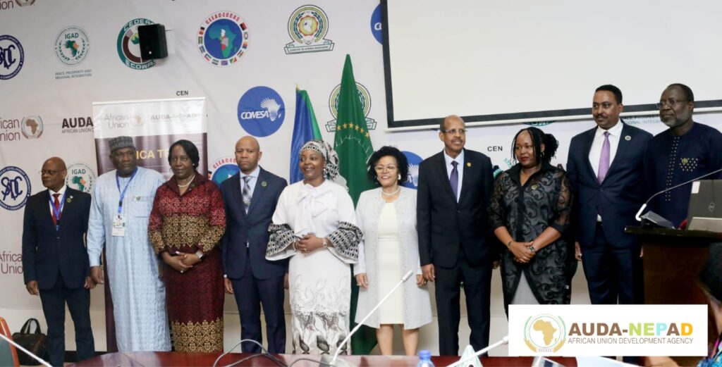 AUDA-NEPAD launches operational phase of Africa Team at the 7th African Union Mid-Year Coordination Summit in Malabo