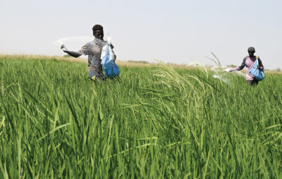 OCP Group drives Africa’s transformation amid a shift toward sustainable growth